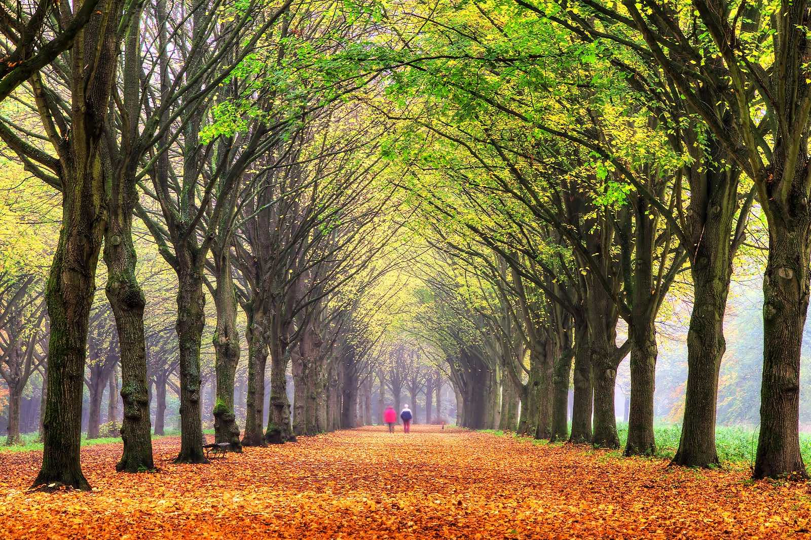 Amsterdamse Bos