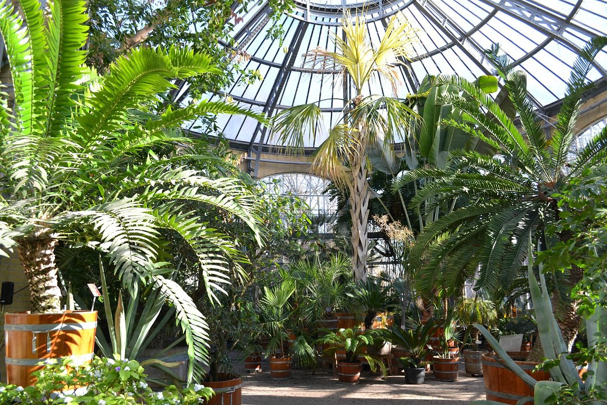 Amsterdam Hortus Botanical