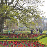 Amsterdam Rijksmuseum Garden