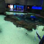 Baltimore Aquarium