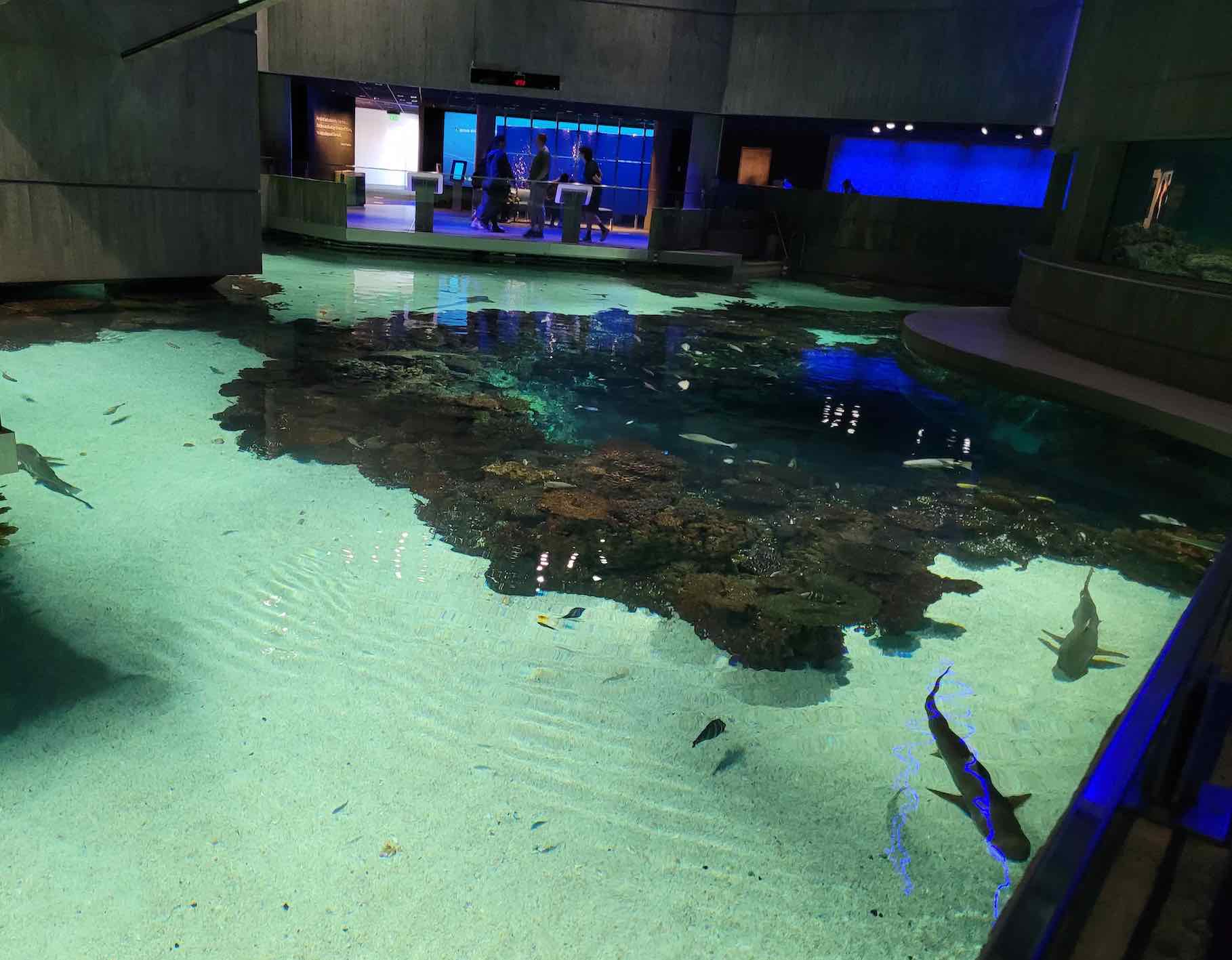 Baltimore Aquarium