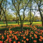 Cylburn Arboretum Baltimore