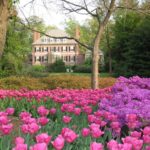 Sherwood Gardens Baltimore