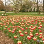 Sherwood Gardens Baltimore