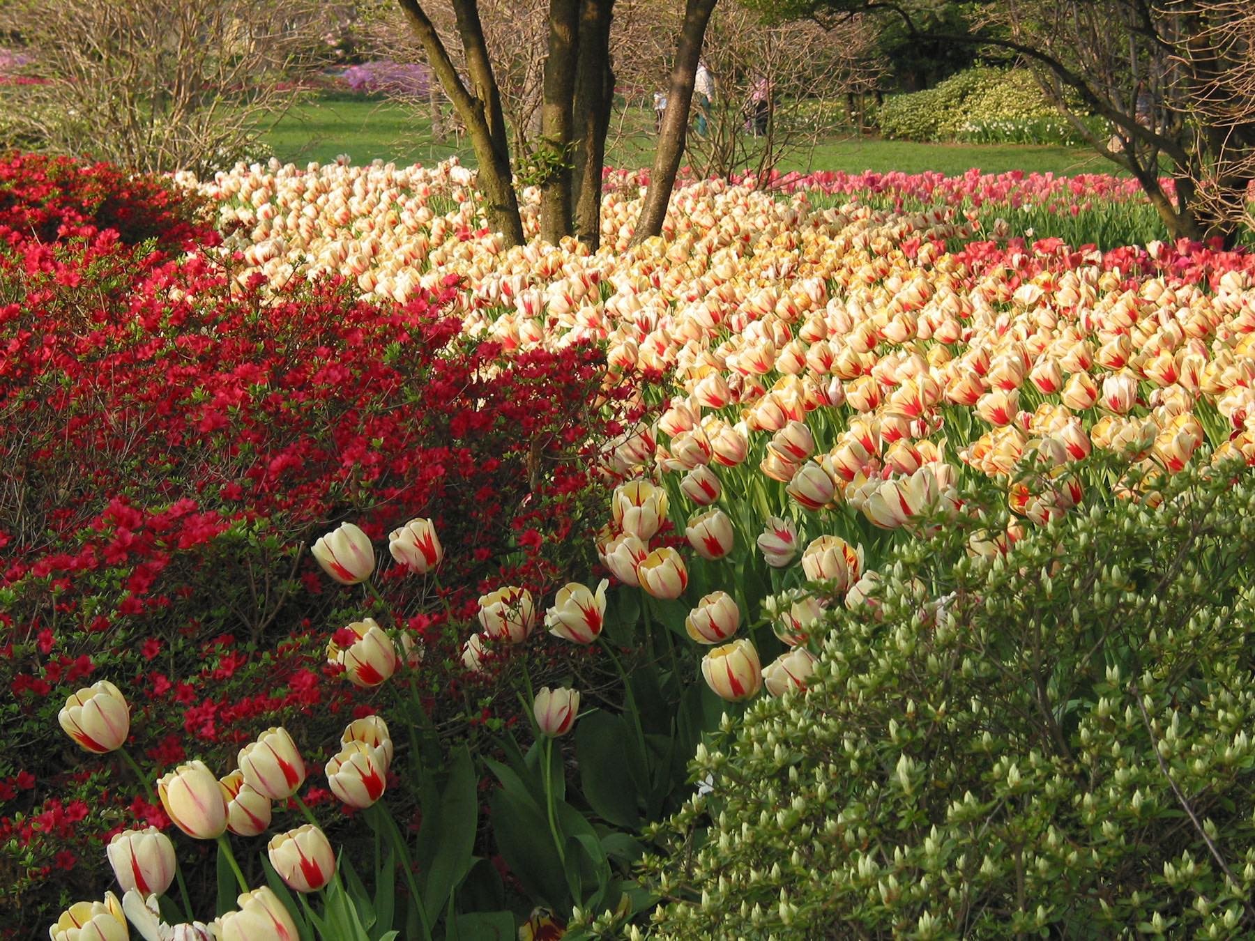 Sherwood Gardens Baltimore