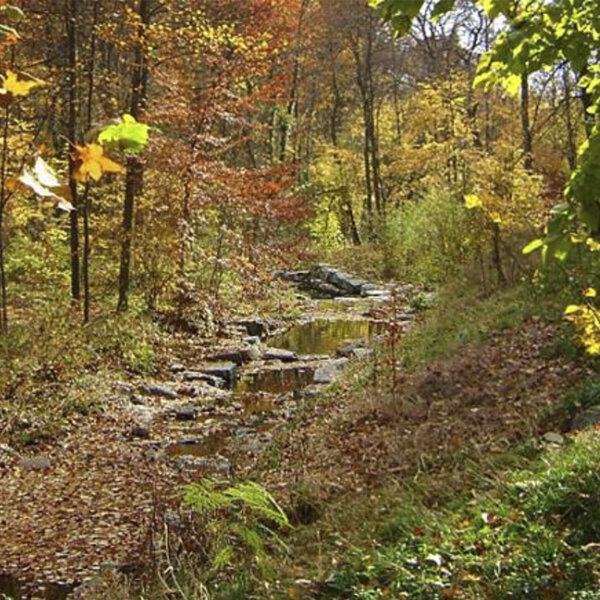 Stony Run Baltimore