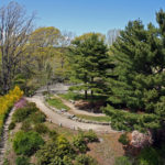 Arnold Arboretum Harvard