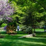 Arnold Arboretum Harvard