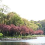 Brookline Reservoir Park Boston