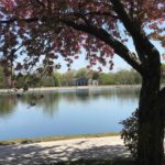 Brookline Reservoir Park Boston