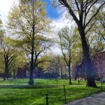 Harvard Yard