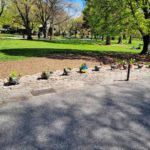 Boston Duckling Sculpture