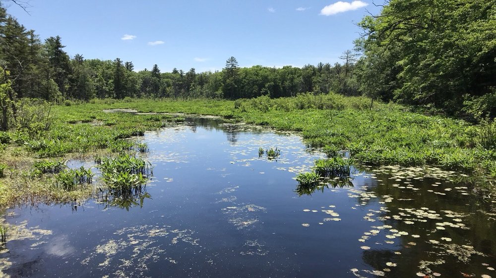 Mass Audubon Nature Center