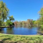 Boston Public Garden