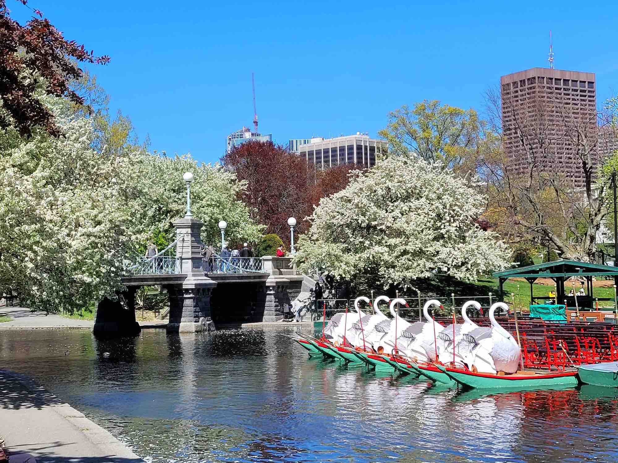 Boston Public Garden