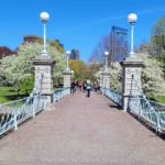 Boston Public Garden