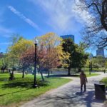 Boston Public Garden