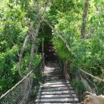 Alfredo Barrera Marin Garden in Cancun