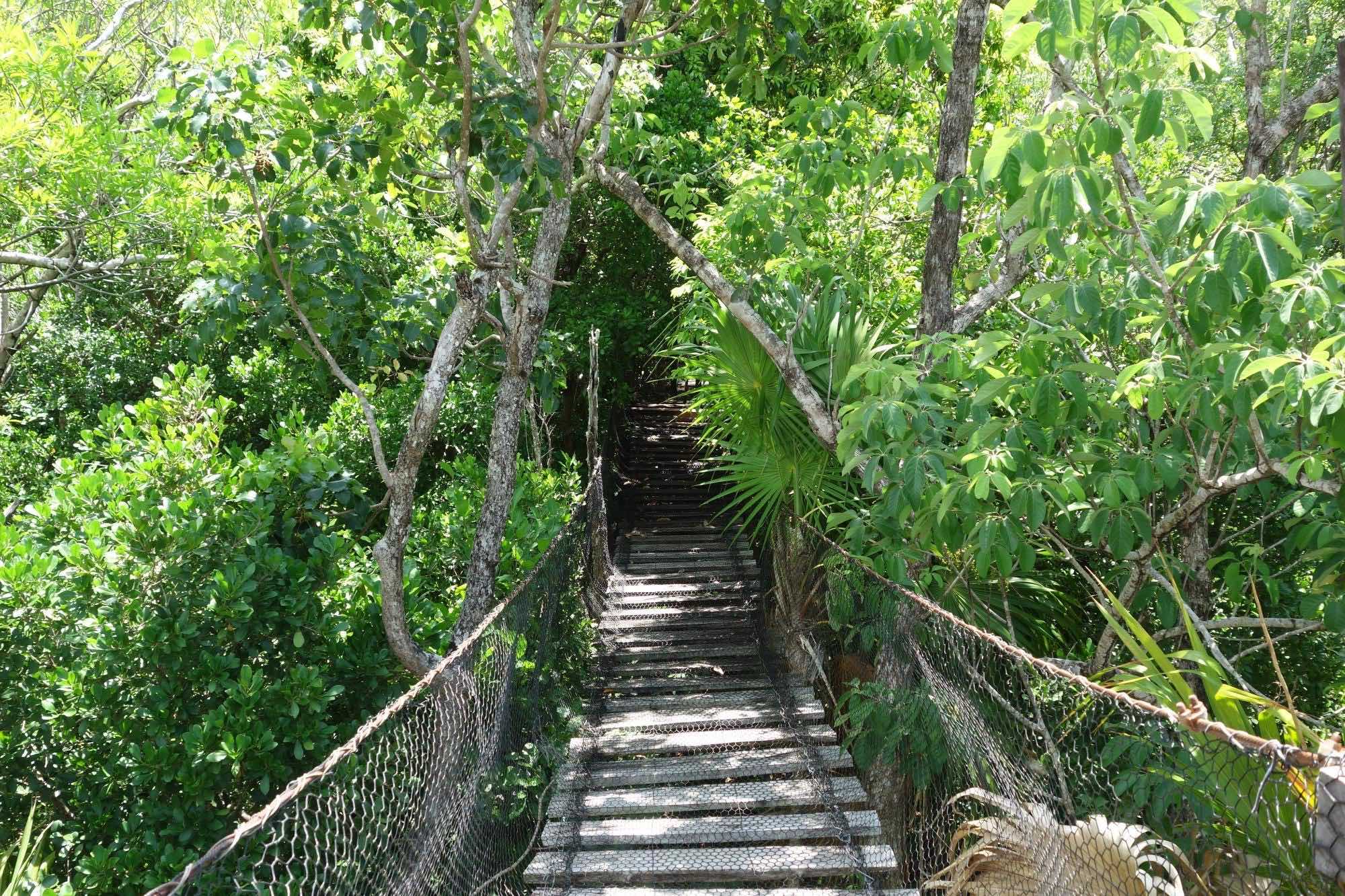 Alfredo Barrera Marin Garden in Cancun