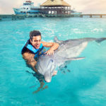 Dolphin Discovery Cancun