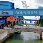 Cancun Interactive Aquarium