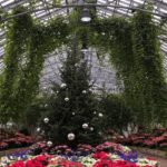 Garfield Park Conservatory Chicago