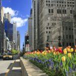 Magnificent Mile Chicago