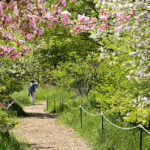 Montrose Point Bird Sanctuary Chicago