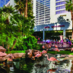 Flamingo Wildlife Habitat in Las Vegas