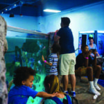 Sea Quest Las Vegas