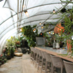 Nashville Green House Bar