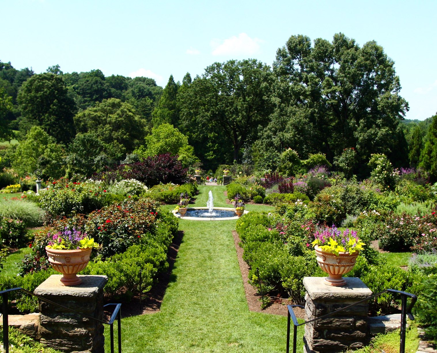 Morris Arboretum Philadelphia