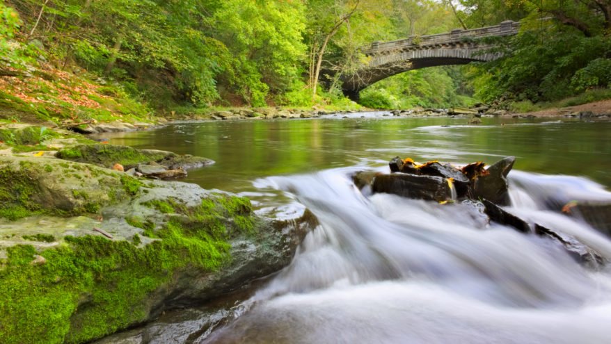 Wissahickon Valley