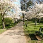 High Park Toronto