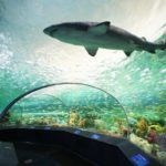 Ripley's Aquarium of Canada in Toronto