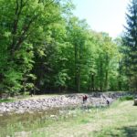 Wilket Creek Park Toronto