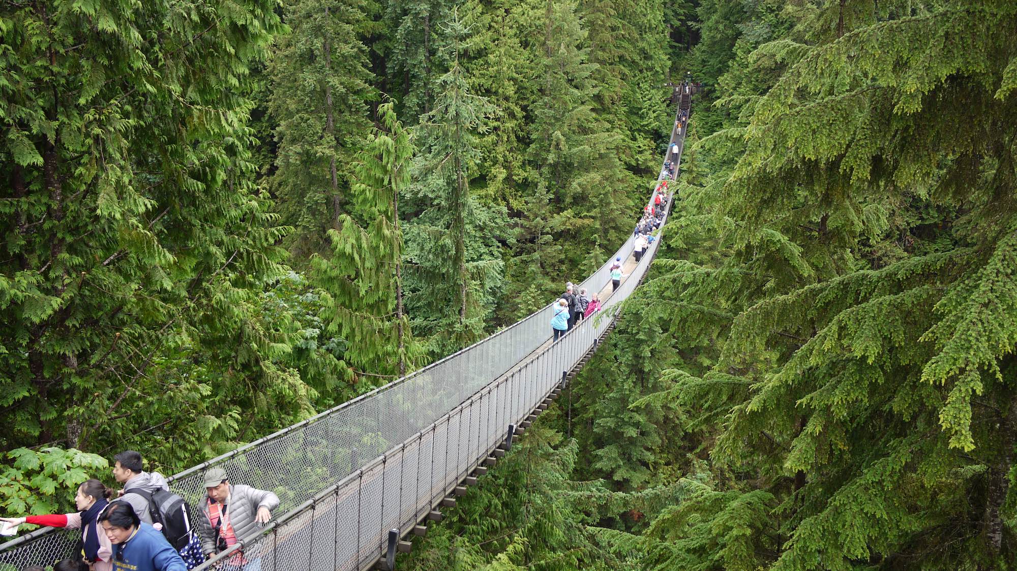 Capilano Bridge Vancouver