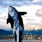 Digital Orca Vancouver