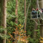 Greenheart Tree Walk Vancouver