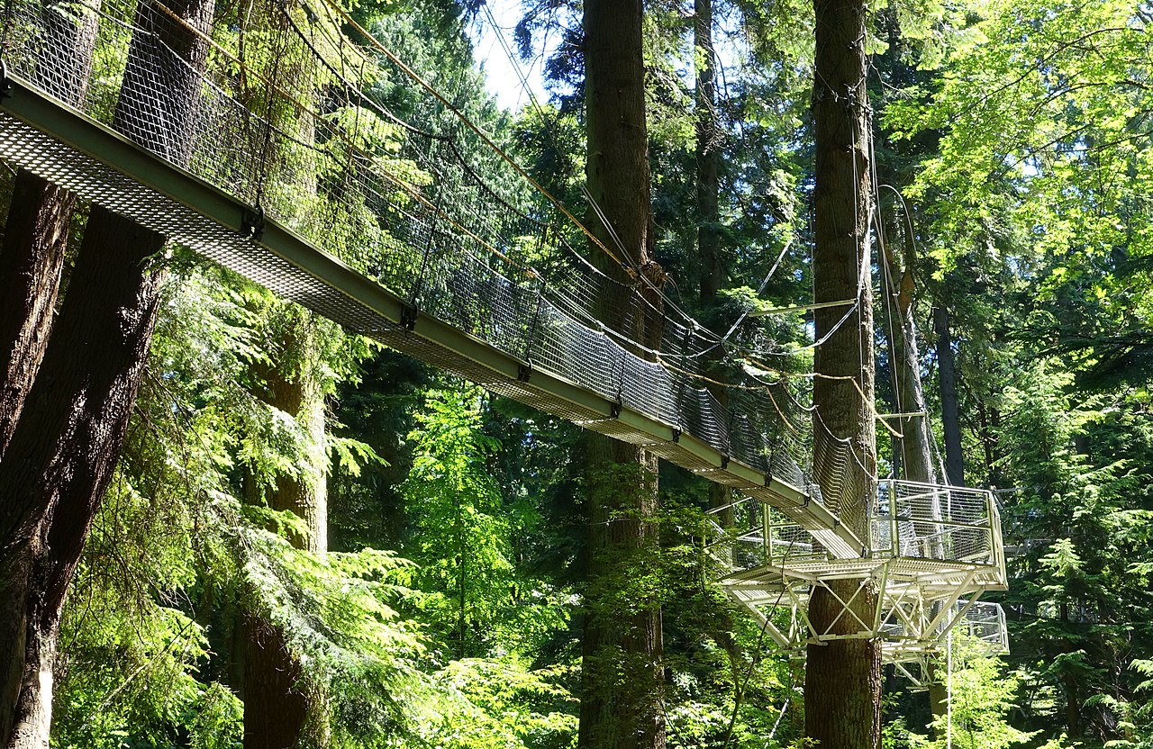 Greenheart Tree Walk Vancouver