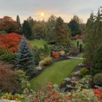 Queen Elizabeth Park Vancouver