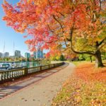 Stanley Park Vancouver