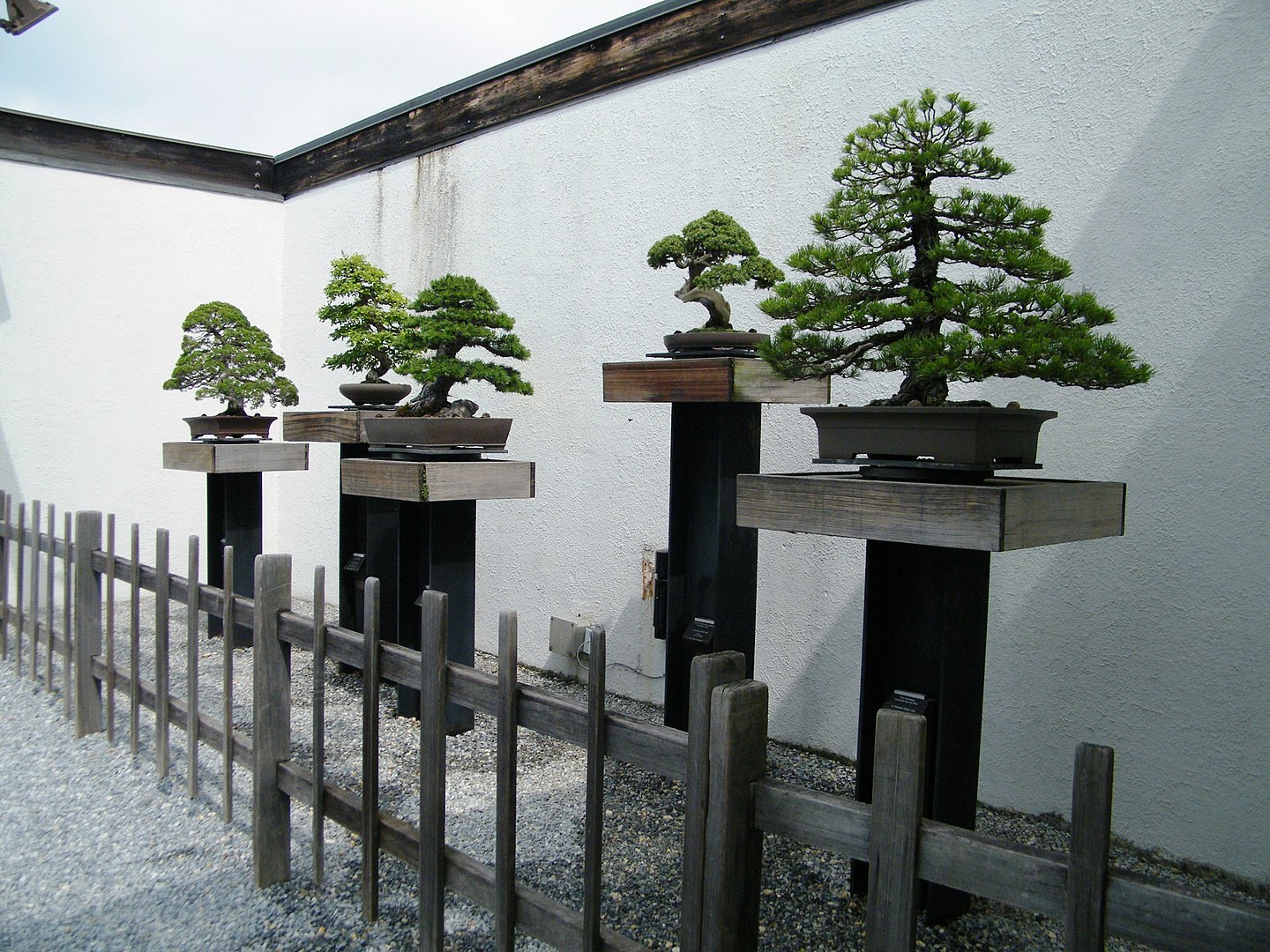 Bonsai Museum Washington DC