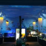 Glen Echo Park Aquarium