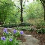 National Arboretum Washington DC