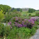 National Arboretum Washington DC