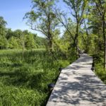 Theodore Roosevelt Island