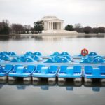 Tidal Basin Paddle Boats Washington DC