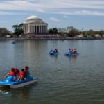 Tidal Basin Paddle Boats Washington DC