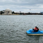 Tidal Basin Paddle Boats Washington DC